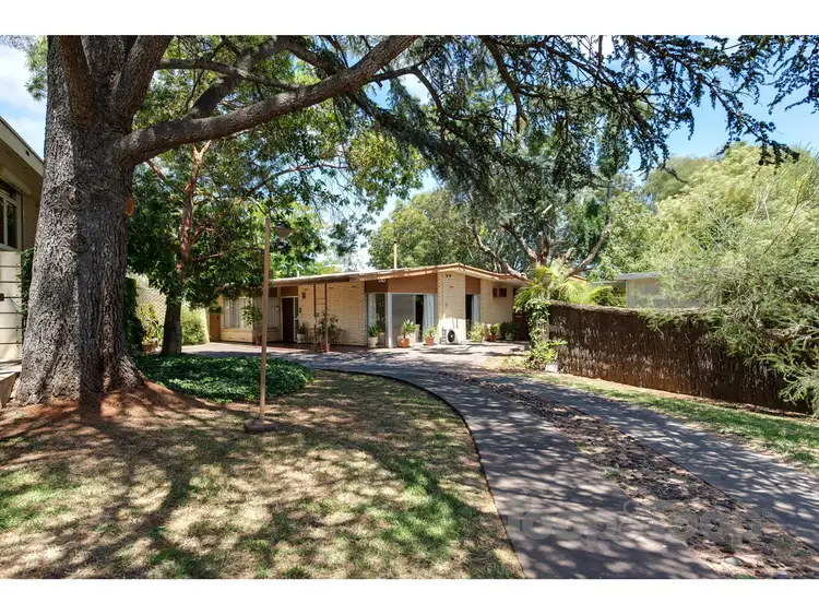 Main view of Homely house listing, 18A Fifeshire Avenue, St Georges SA 5064