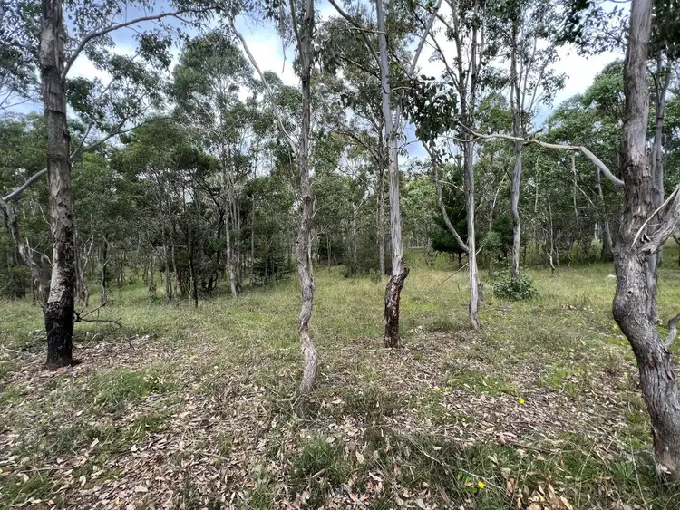 Fifth view of Homely rural property listing, 4100 Oallen Ford Road, Windellama NSW 2580
