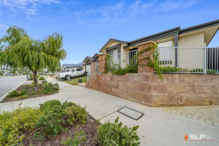 49 Azolla Street, Banksia Grove WA 6031
