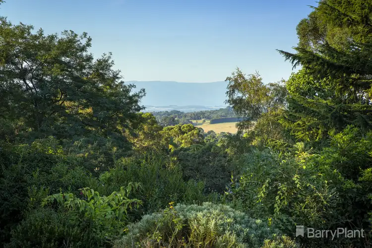 Second view of Homely house listing, 8 Emerald Monbulk Road, Emerald VIC 3782