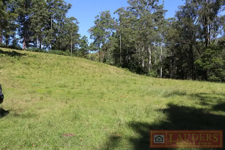 Sixth view of Homely rural property listing, 392 Little Run Road, Wherrol Flat NSW 2429