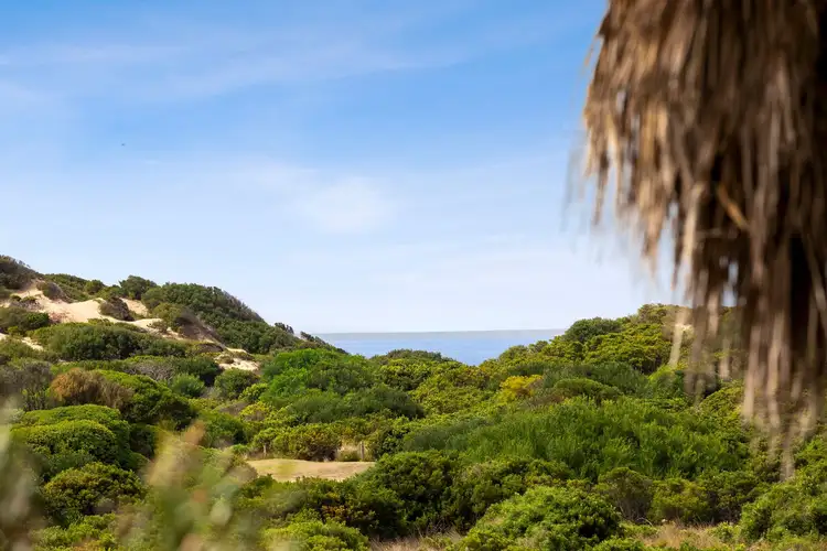 Third view of Homely house listing, 203B The Esplanade, Torquay VIC 3228