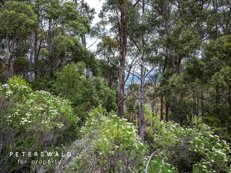 Third view of Homely land listing, 107758/1 Browns Road, Ranelagh TAS 7109