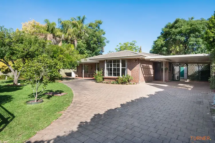 Second view of Homely house listing, 14A Barker Grove, Toorak Gardens SA 5065