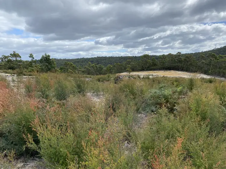 Main view of Homely land listing, 8 Sunny Place, Heybridge TAS 7316