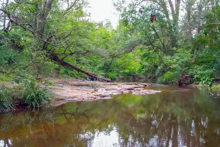 Third view of Homely rural property listing, 479 Sandy Creek Road, Mount Vincent NSW 2323