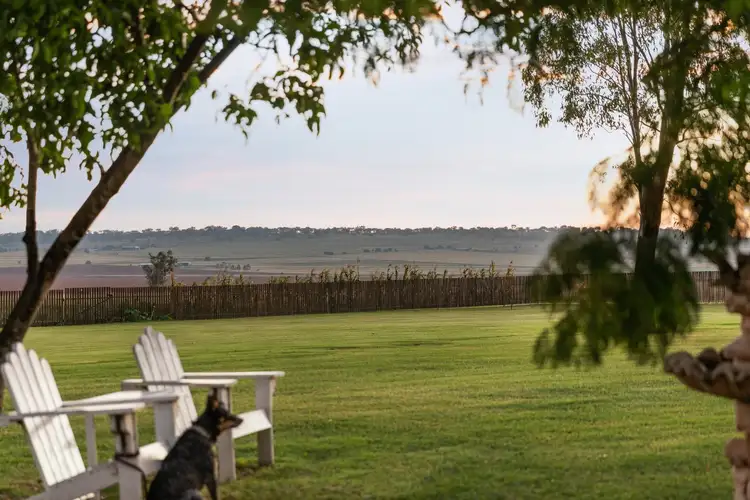 Third view of Homely rural property listing, 949 Clifton Pittsworth Road, Back Plains QLD 4361