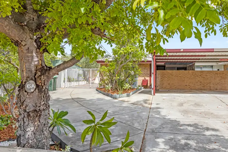 6a Stocker Court, Craigie WA 6025