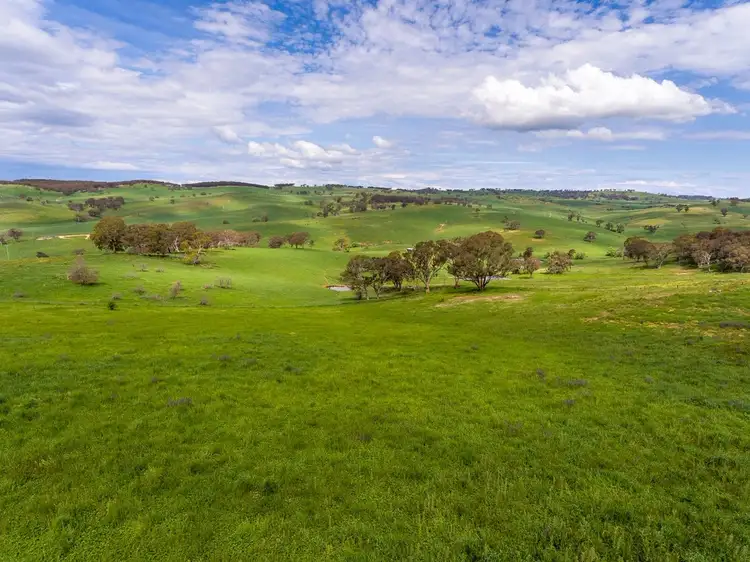 Seventh view of Homely rural property listing, 534 Byng Road, Byng NSW 2800