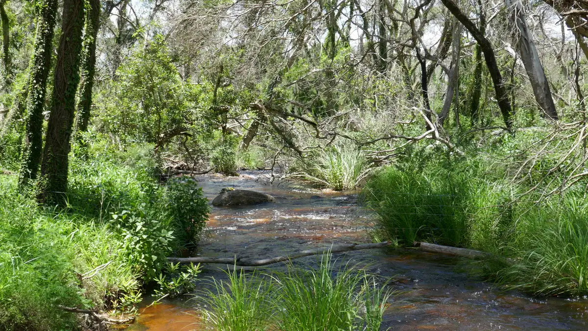 Main view of Homely rural property listing, LOT 32 Leder Way, Rocky River NSW 2372