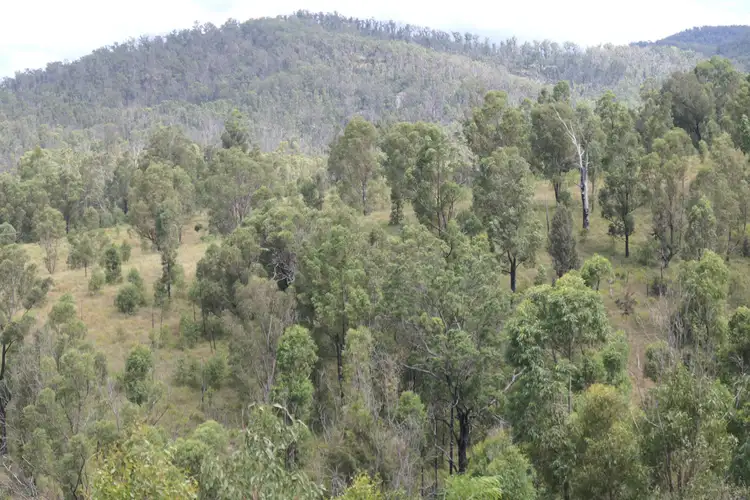 Fourth view of Homely rural property listing, LOT 32 Leder Way, Rocky River NSW 2372