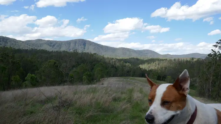 Seventh view of Homely rural property listing, LOT 32 Leder Way, Rocky River NSW 2372