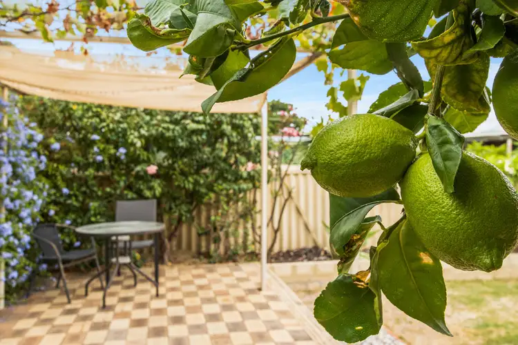 15A Neville Drive, Wanneroo WA 6065