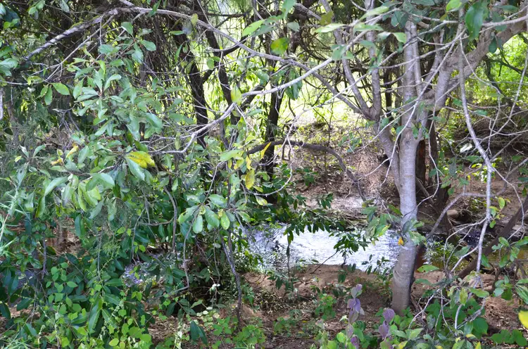 Fifth view of Homely land listing, LOT 75 Summer Street, Mareeba QLD 4880