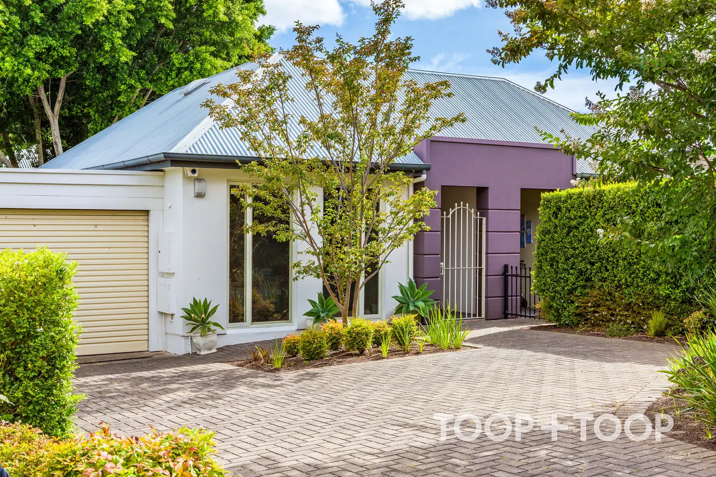 Main view of Homely house listing, 51 Queen Street, Glenunga SA 5064