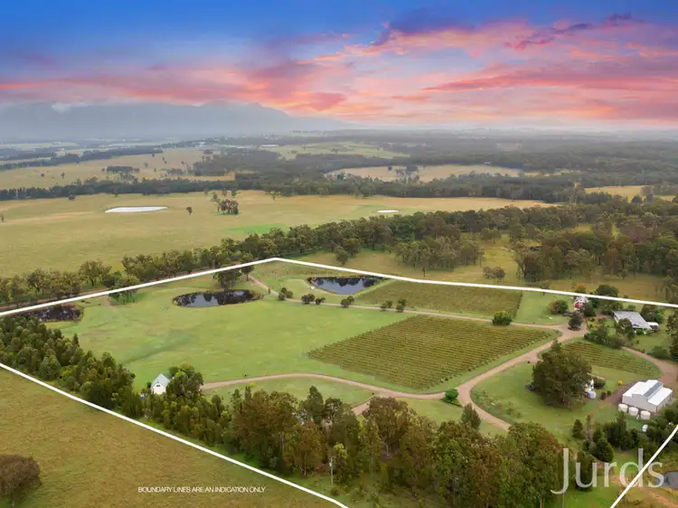 Second view of Homely rural property listing, 447 Old North Road, Pokolbin NSW 2320