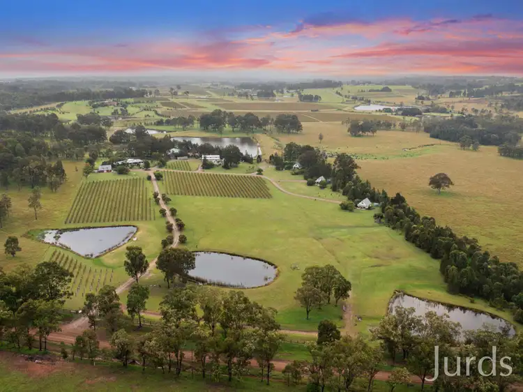 Fourth view of Homely rural property listing, 447 Old North Road, Pokolbin NSW 2320