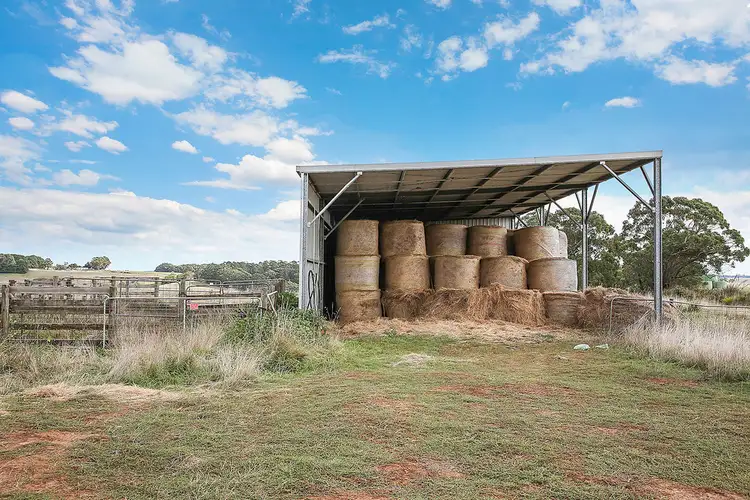 Fifth view of Homely rural property listing, 1645 Coradjil Road, Simpson VIC 3266