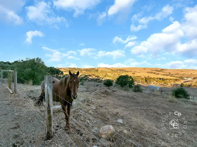 Second view of Homely rural property listing, 70 Stoney Banks Road, Mount Pleasant SA 5235