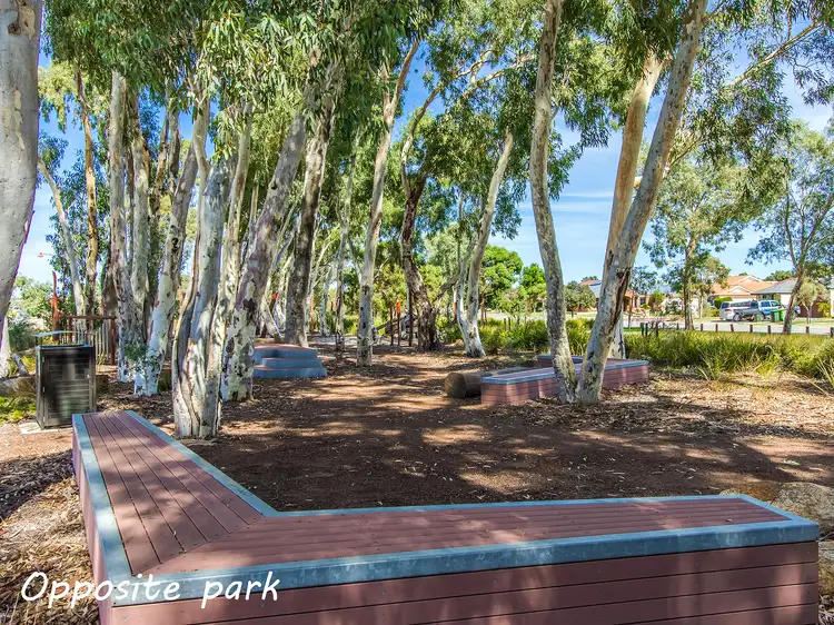 Second view of Homely house listing, 17 Macadamia Avenue, Baldivis WA 6171