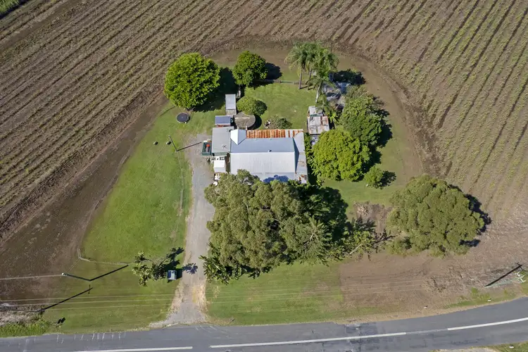 Third view of Homely rural property listing, 137 New Norwell Road, Woongoolba QLD 4207