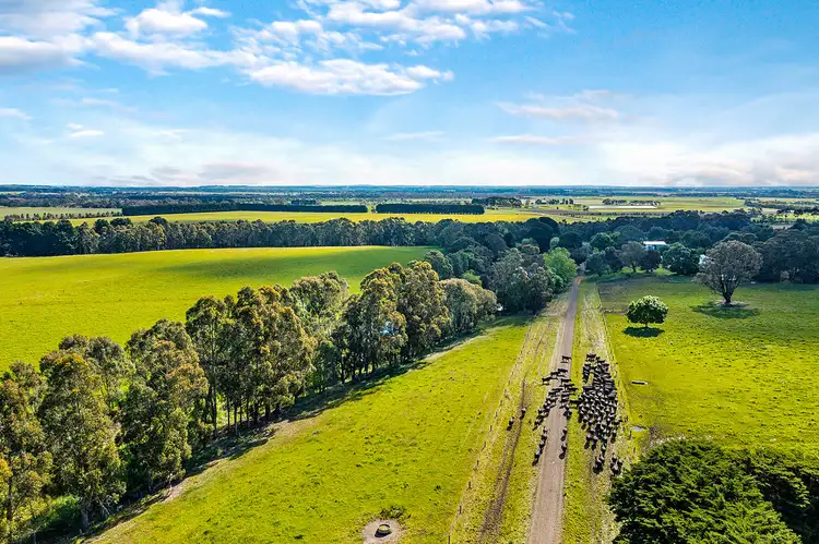 Second view of Homely rural property listing, 3099 Cape Otway Road, Winchelsea South VIC 3241