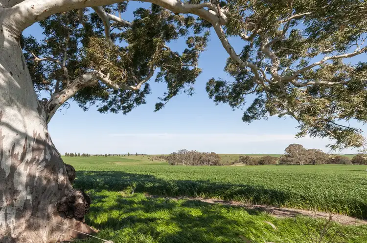 Second view of Homely rural property listing, 779 Coopers Road, Meredith VIC 3333