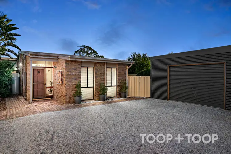 4A Musgrave Avenue, West Hindmarsh SA 5007
