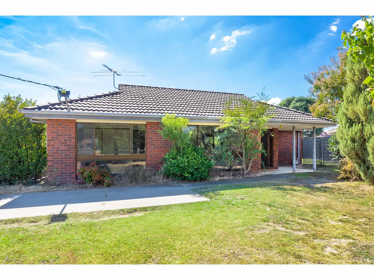 Main view of Homely unit listing, 1/10 Lachlan Court, West Wodonga VIC 3690