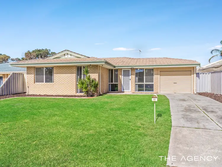 Main view of Homely house listing, 12 Pallarup Grove, Waikiki WA 6169