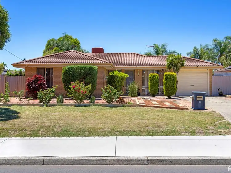 16 Fortunella Grove, Seville Grove WA 6112