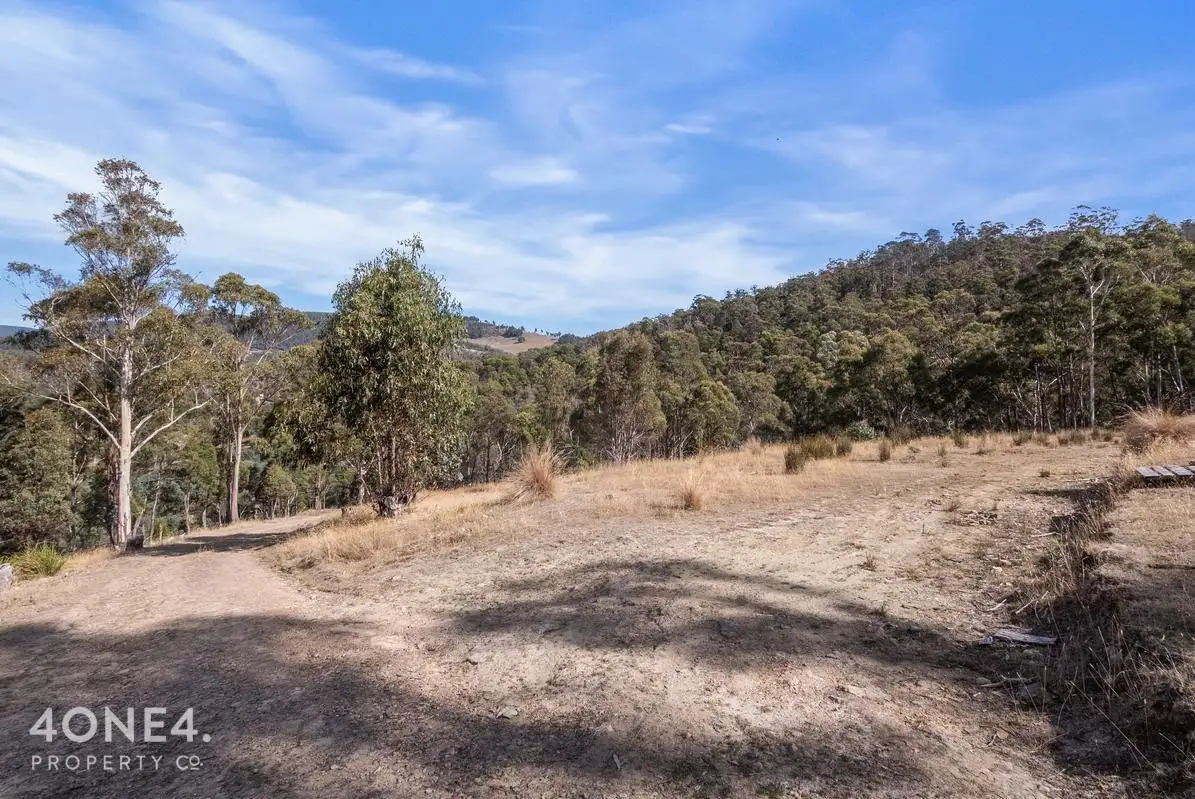 Main view of Homely land listing, 60 Briers Road, Lachlan TAS 7140