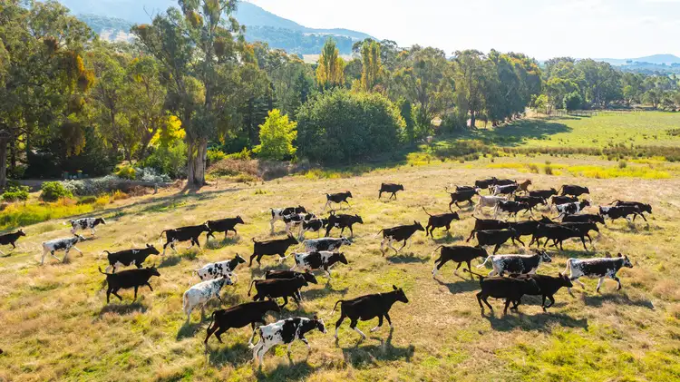 Main view of Homely rural property listing, Lot 2 Myrtleford-Yackandandah Road, Yackandandah VIC 3749