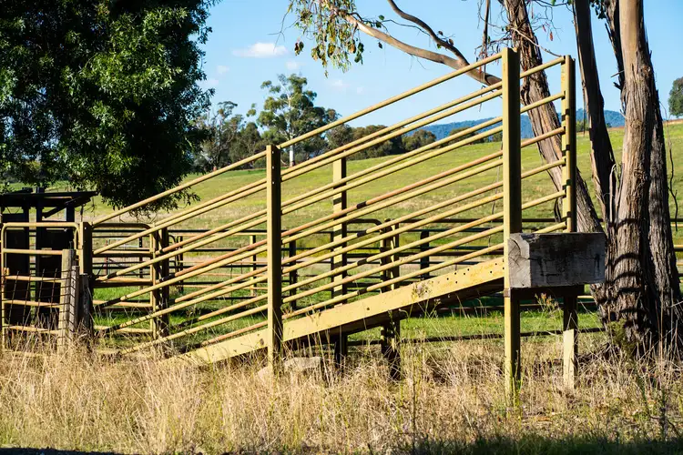 Fifth view of Homely rural property listing, Lot 2 Myrtleford-Yackandandah Road, Yackandandah VIC 3749