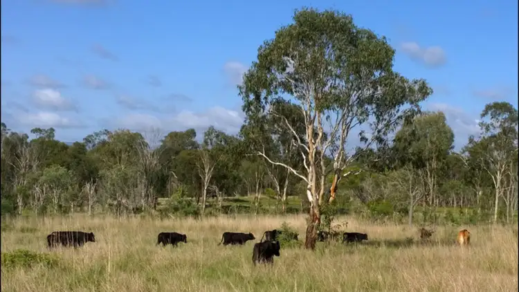 Sixth view of Homely land listing, 61 Delandelles Road, Tanby QLD 4703