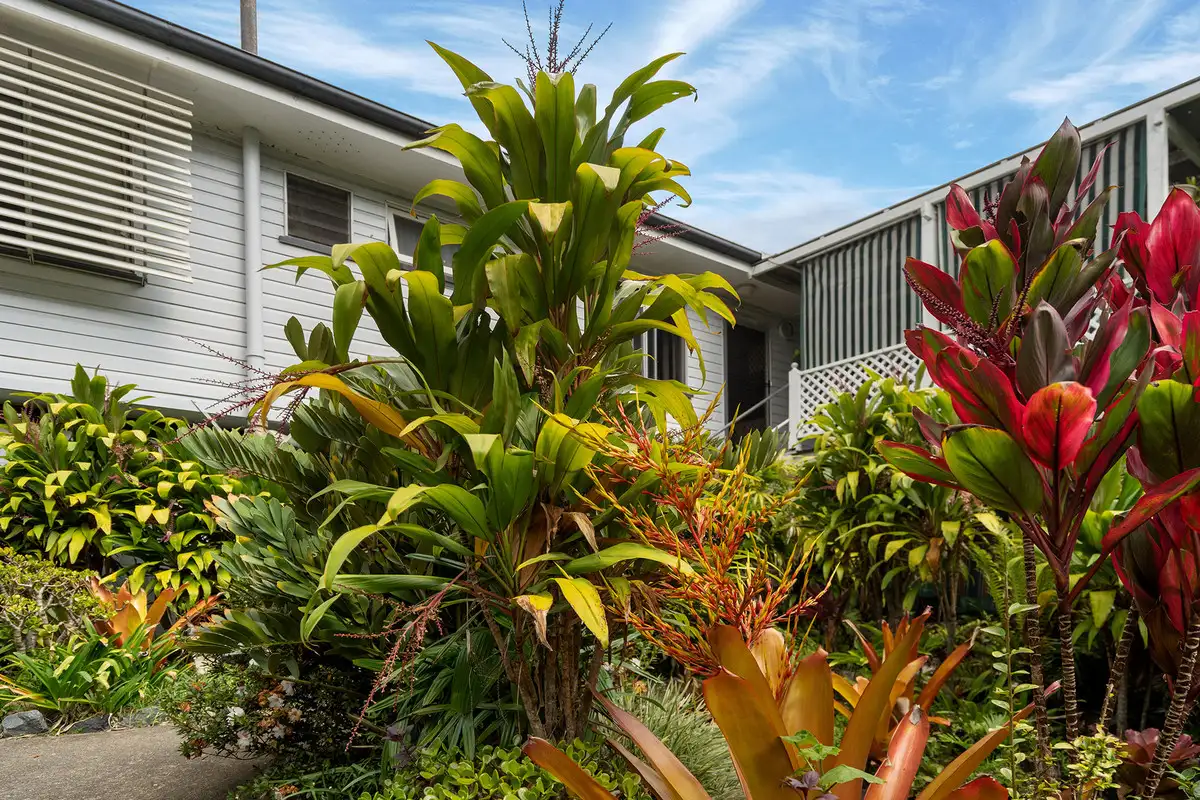 Main view of Homely house listing, 8 Cardiff Street, Morningside QLD 4170