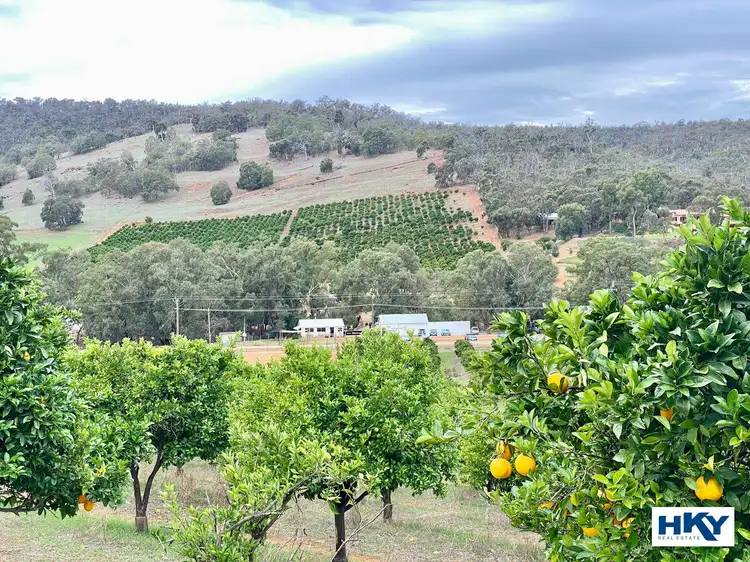1378 Chittering Road, Lower Chittering WA 6084