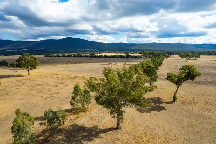 Third view of Homely rural property listing, 93 Pomonal East Road, Pomonal VIC 3381