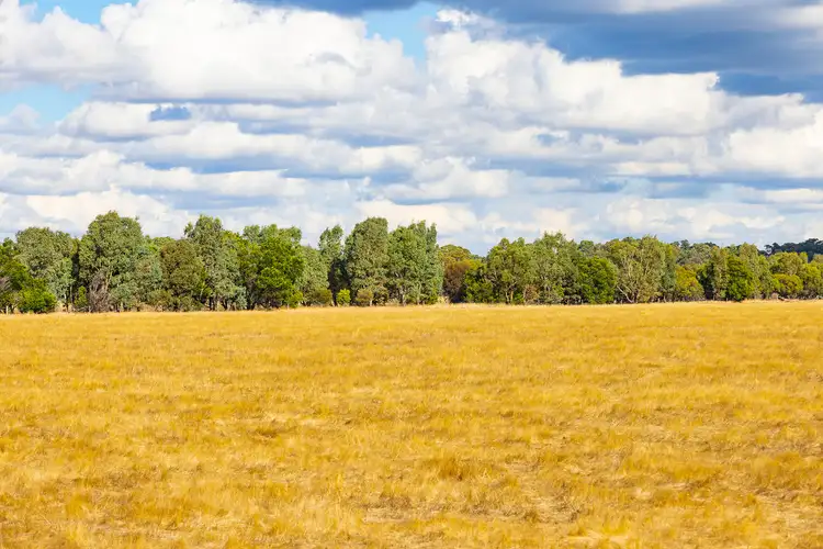 Fifth view of Homely rural property listing, 93 Pomonal East Road, Pomonal VIC 3381