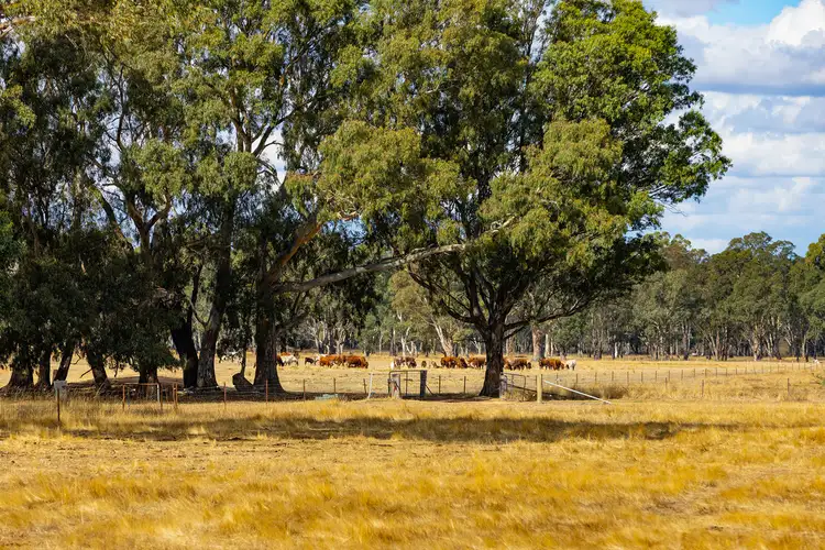 Sixth view of Homely rural property listing, 93 Pomonal East Road, Pomonal VIC 3381