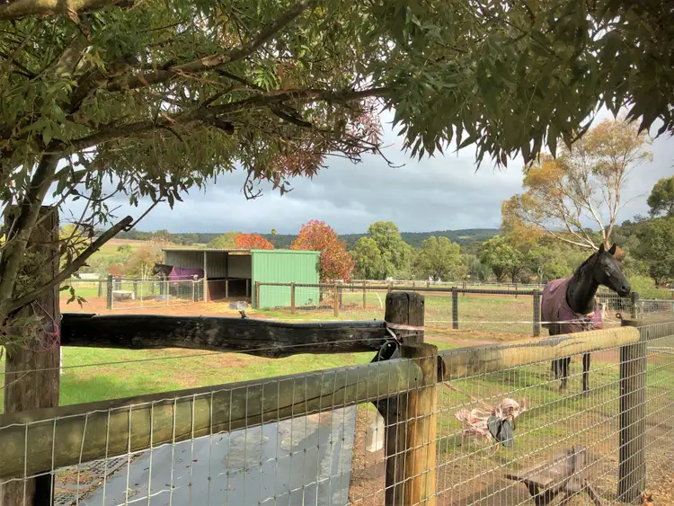 Fifth view of Homely house listing, 755 Allen Street, Wooroloo WA 6558