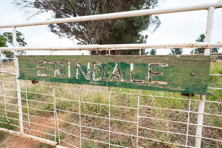 Fourth view of Homely rural property listing, 465 Erindale Road, Berrigan NSW 2712
