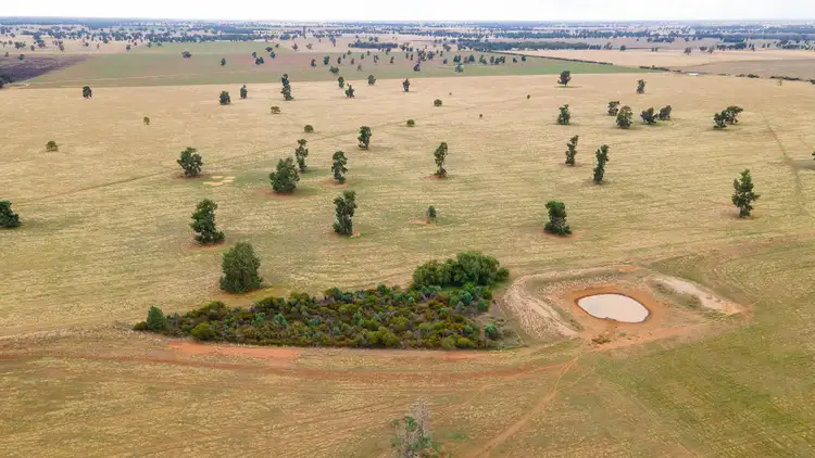 Sixth view of Homely rural property listing, 465 Erindale Road, Berrigan NSW 2712