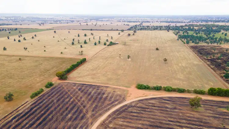 Seventh view of Homely rural property listing, 465 Erindale Road, Berrigan NSW 2712
