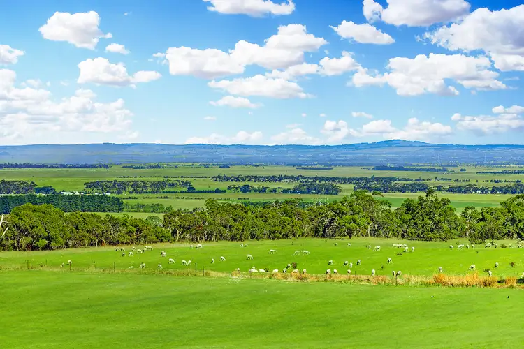 Second view of Homely rural property listing, 619 Deans Road, Meredith VIC 3333