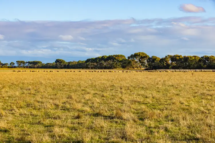 Seventh view of Homely rural property listing, Gnarpurt Road, Leslie Manor VIC 3260