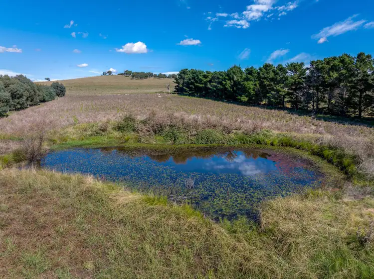 Third view of Homely rural property listing, 34 Harringtons Lane, Brisbane Grove NSW 2580