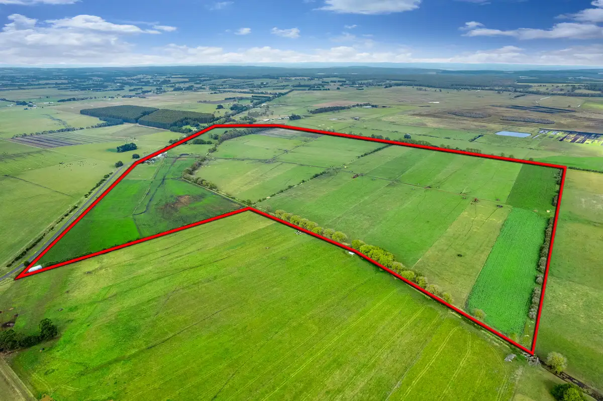 Main view of Homely rural property listing, 170 Swan Marsh-Irrewillipe Road, Swan Marsh VIC 3249