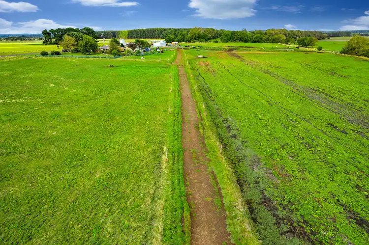 Fifth view of Homely rural property listing, 170 Swan Marsh-Irrewillipe Road, Swan Marsh VIC 3249