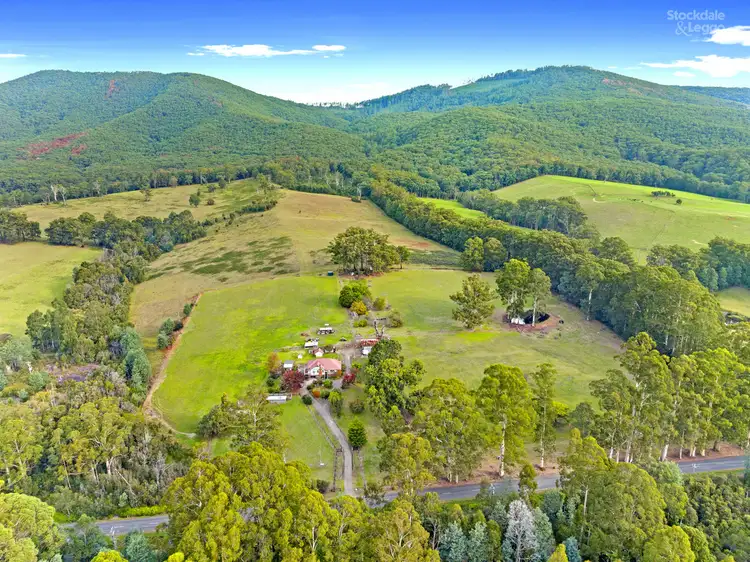 Fifth view of Homely house listing, 1310 Little Yarra Road, Gilderoy VIC 3797